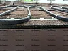Лента монтажная оцинкованная СРГ-20 Ц Mos-Obogrev.ru